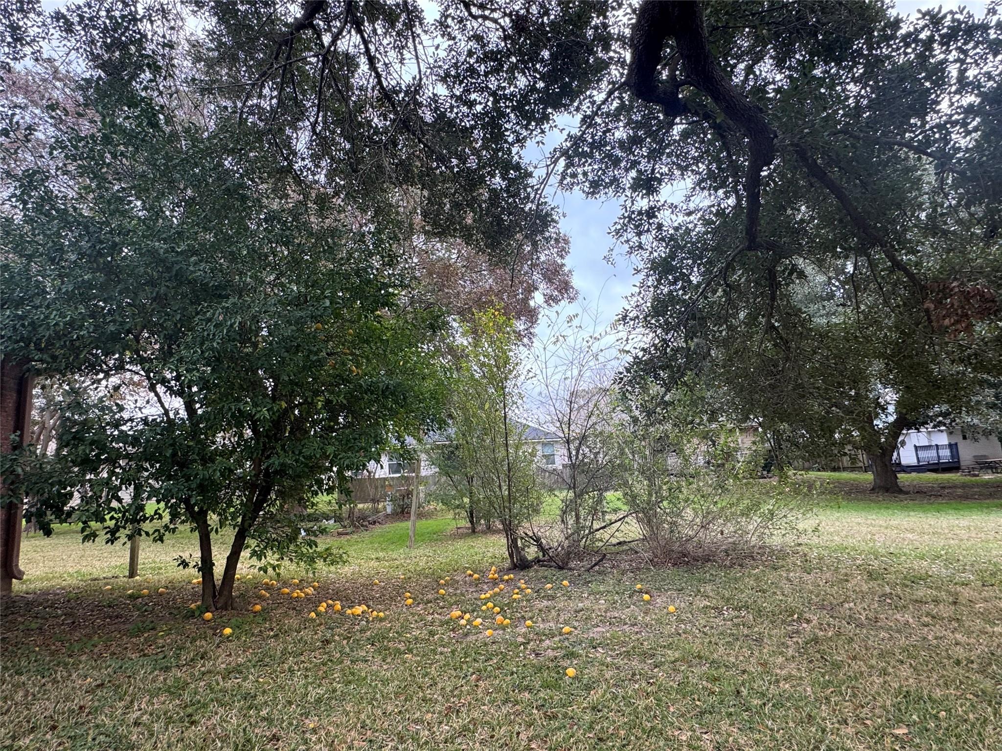 6987 Pleasure Lake Drive