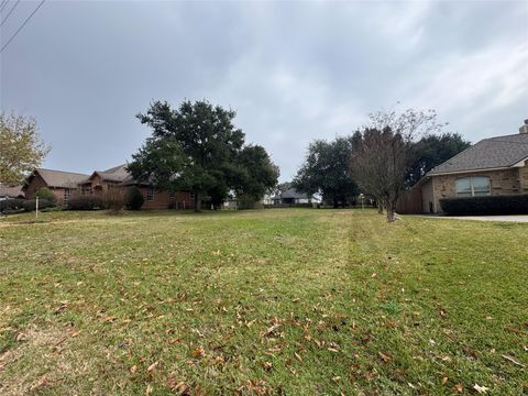 6987 Pleasure Lake Drive Willis TX 77318