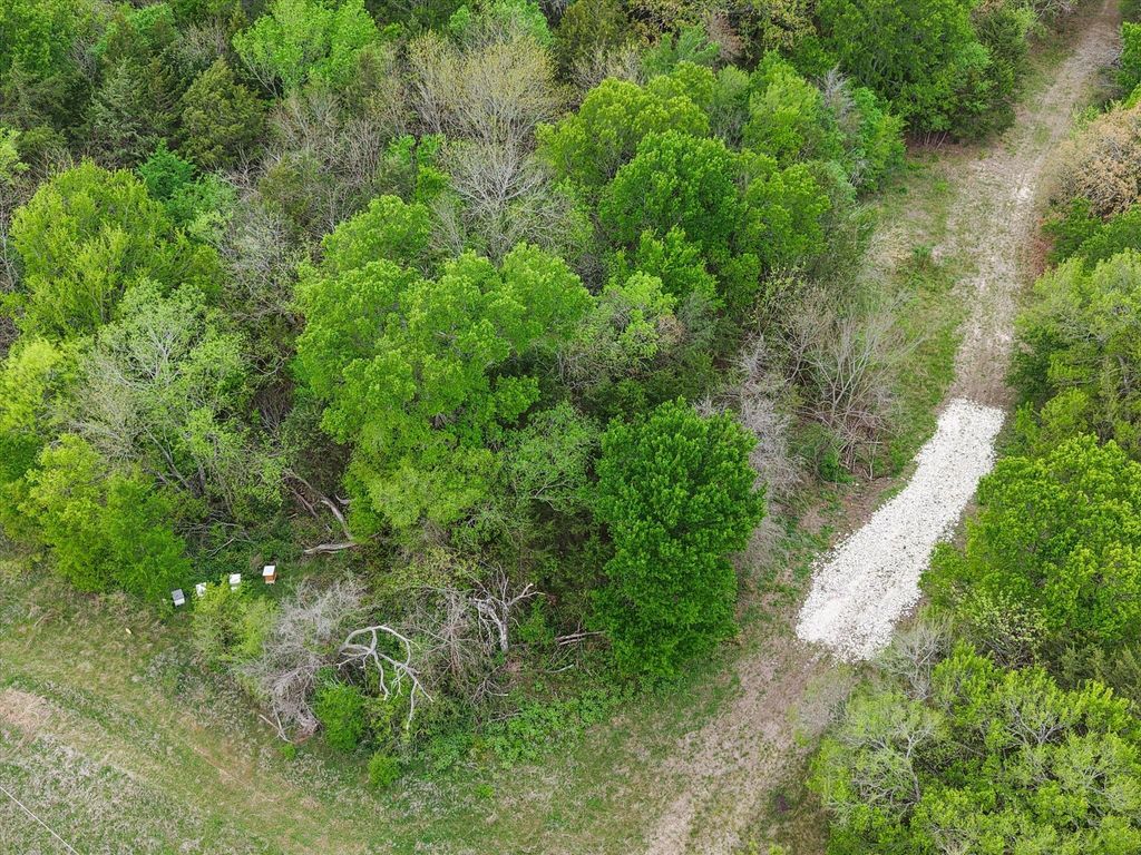 Photo of TBD Fm 709 S, Purdon, TX 76679 (MLS # 72605541)
