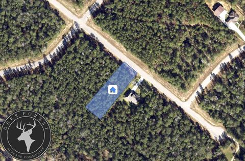 94 Coyote Run Willis TX 77378