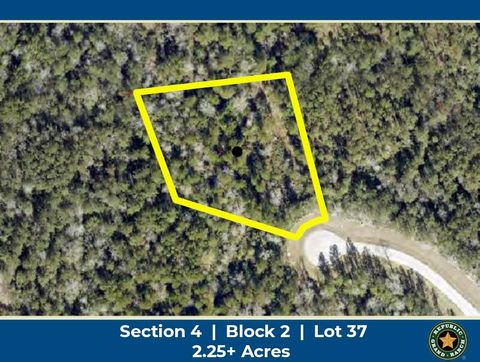 Vacant Land For Sale - 10550 Link Tree Lane<br/> Willis, TX 77378