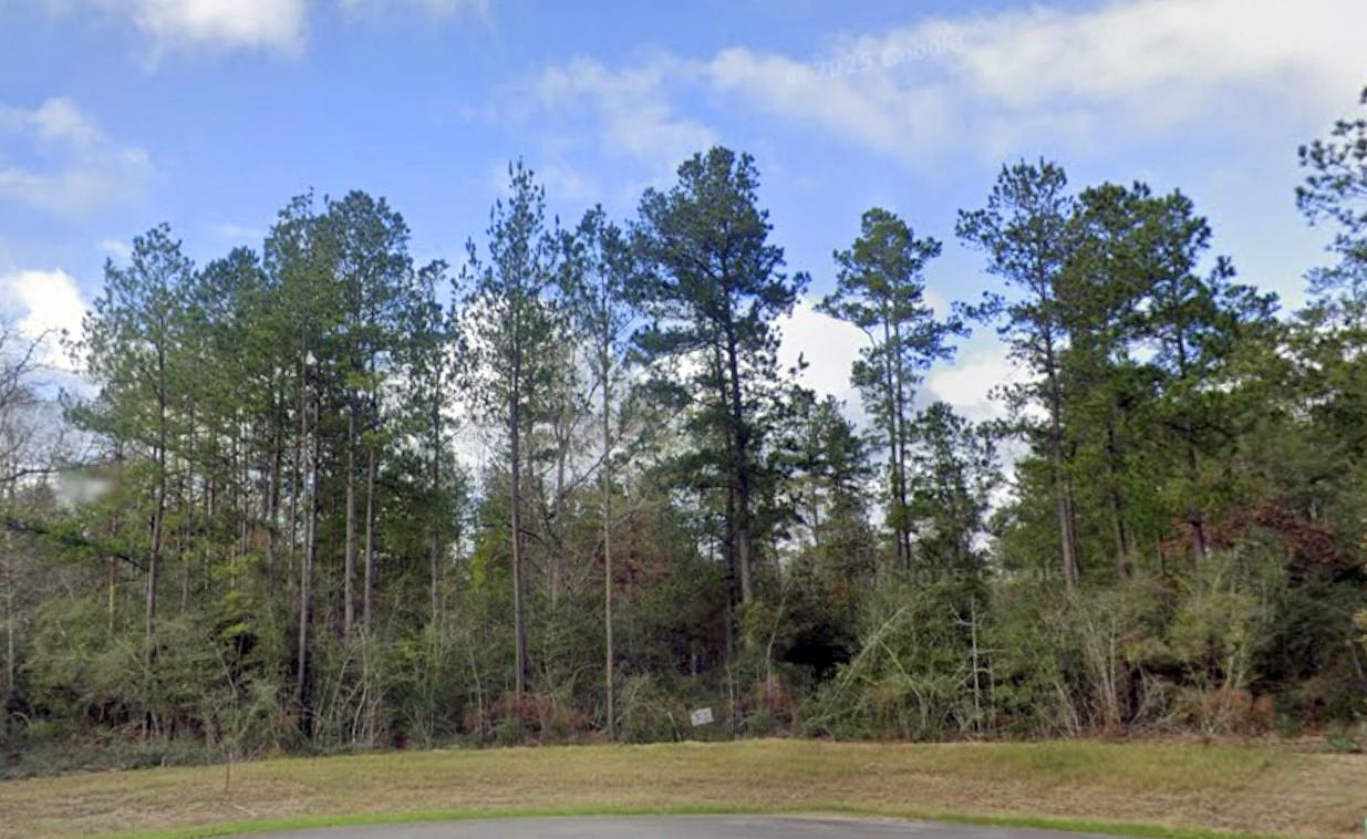 10550 Link Tree Lane