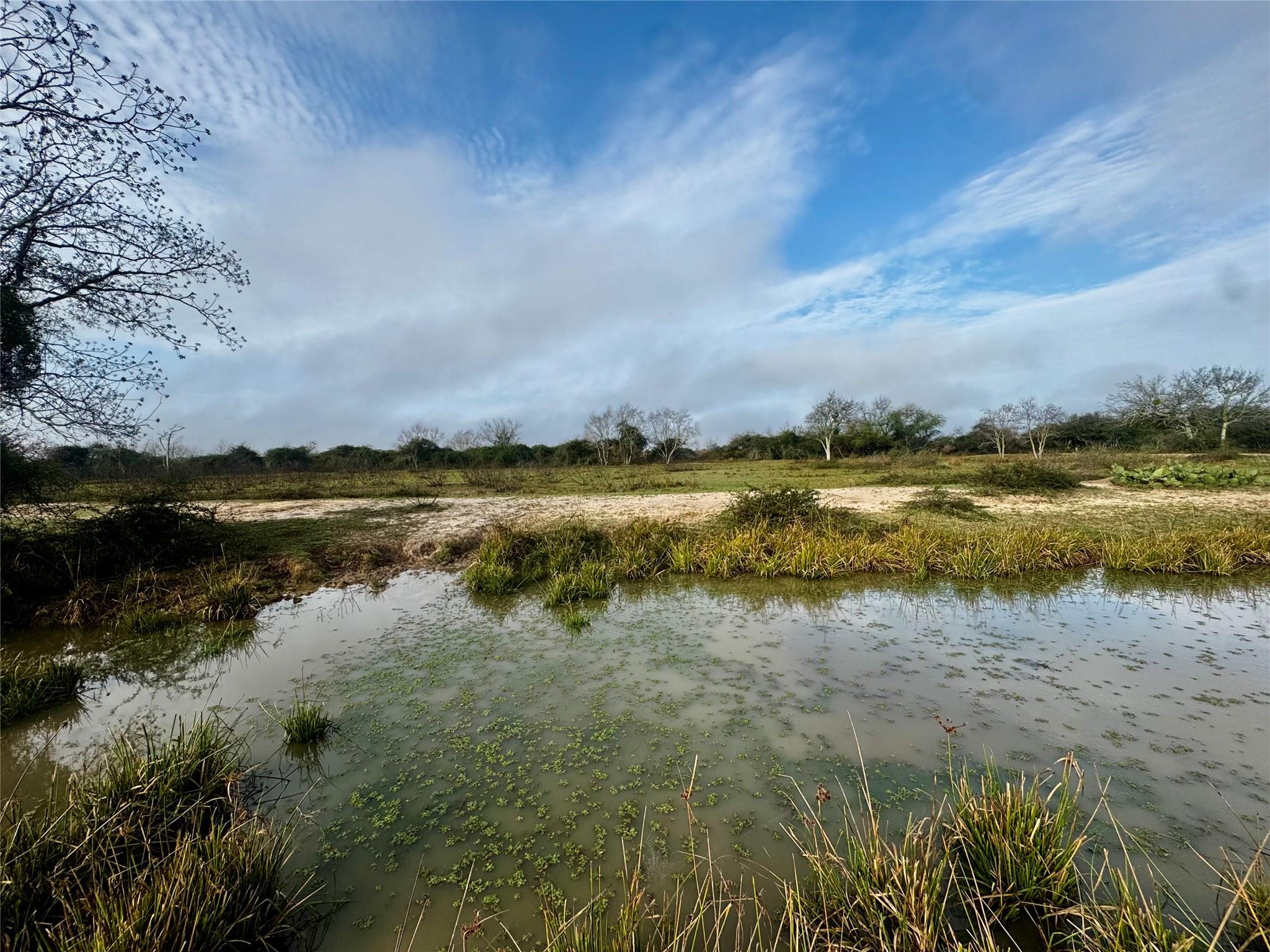 13340 State Highway 172