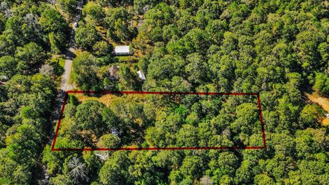 Vacant Land For Sale - 1100 Cherry Creek Drive<br/> Shepherd, TX 77371