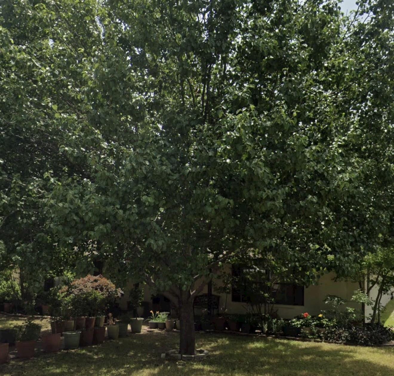 2512 Eastbrook Drive