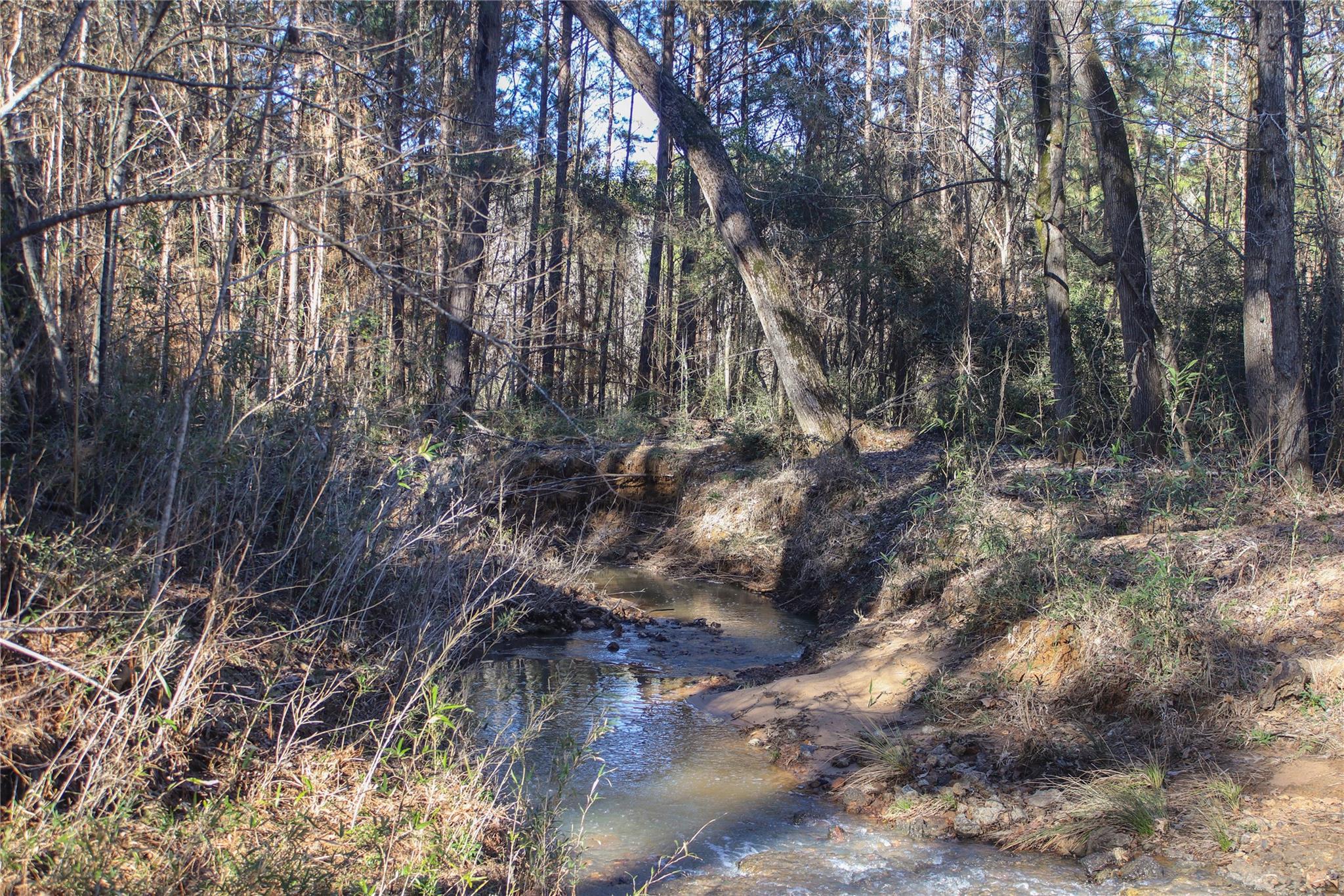 000 County Road 2240