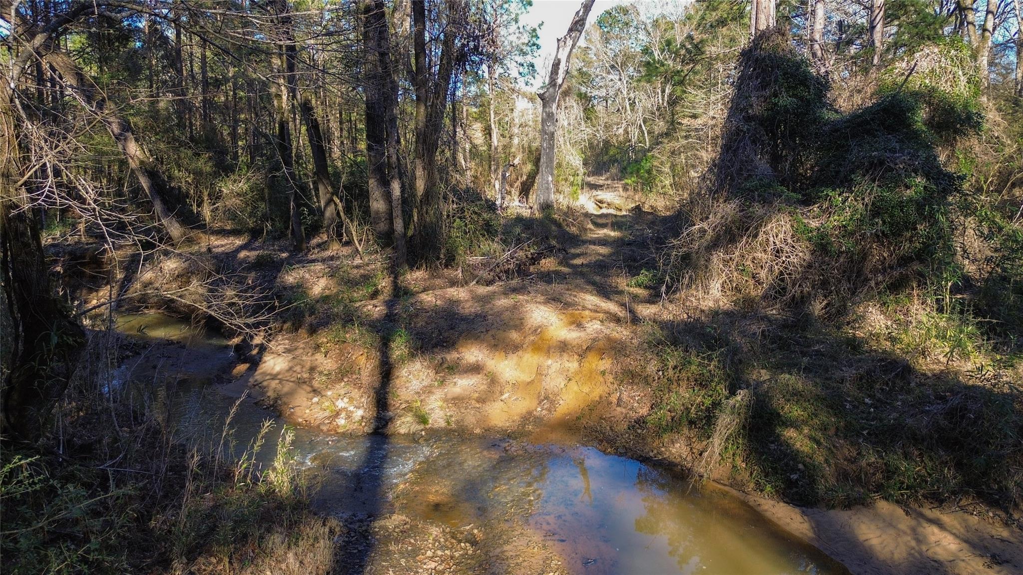 000 County Road 2240