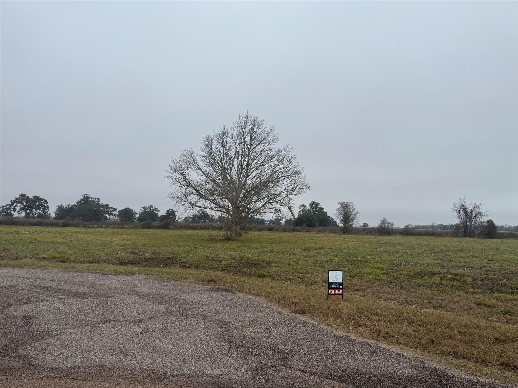17218 Lucky Horse Drive