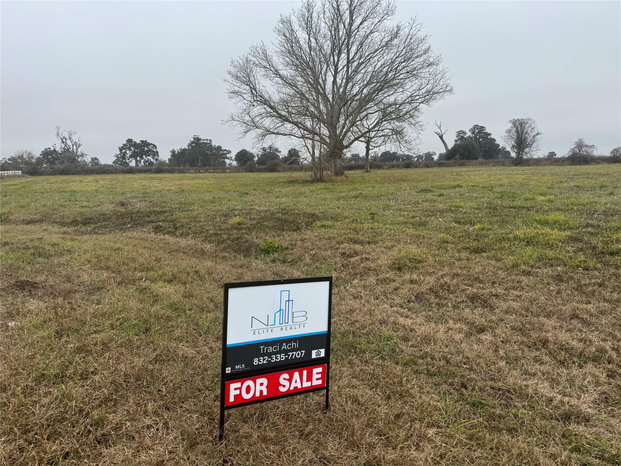 17218 Lucky Horse Drive