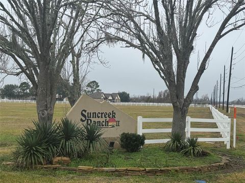 Photo of 17218 Lucky Horse Drive, Rosharon, TX 77583 (MLS # 78095996)