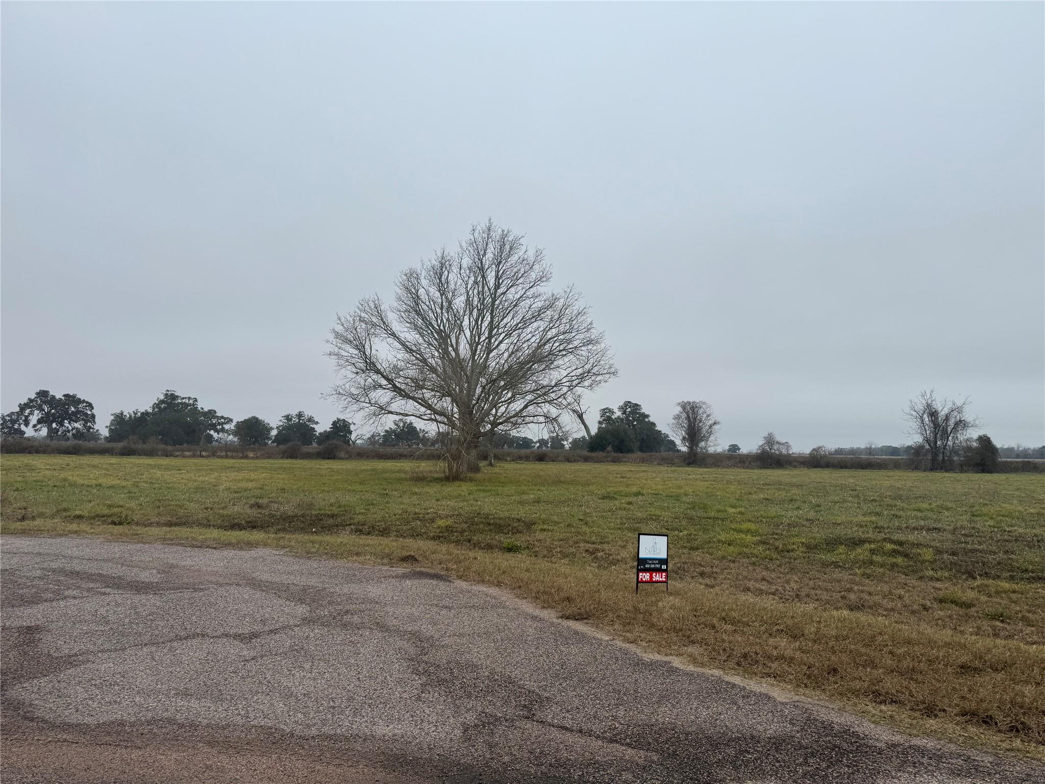 17218 Lucky Horse Drive