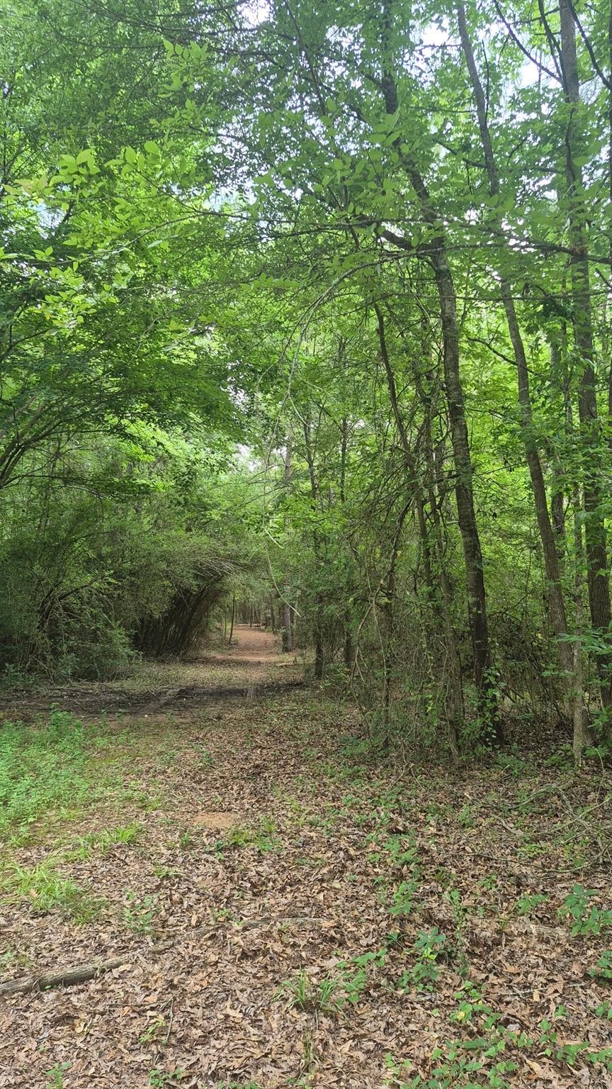 2016 County Road 1865 North