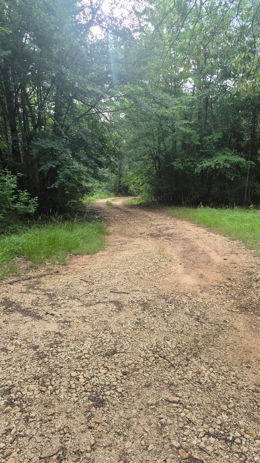 2016 County Road 1865 North