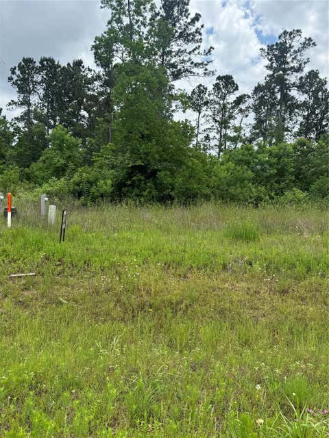 Photo of 5049 Road 5874, Cleveland, TX 77327 (MLS # 3707522)