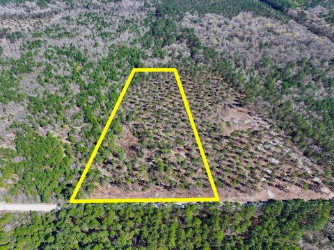 Vacant Land For Sale - 1 Boontown Road<br/> Trinity County, Trinity, TX 75845