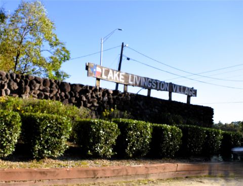 Photo of TBD Forester, Livingston, TX 77351 (MLS # 58633206)