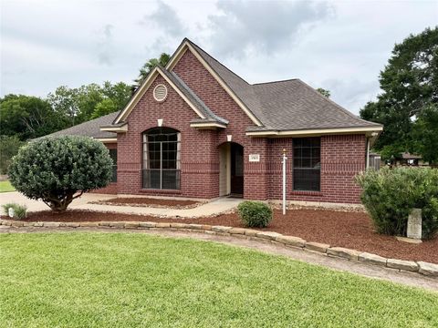 Photo of 1503 Avenue H, Danbury, TX 77534 (MLS # 17027437)