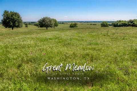 Vacant Land For Sale - 000 Egypt Lane<br/> Washington, TX 77880