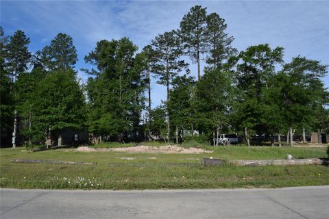 Photo of 357 County Road 5006, Cleveland, TX 77327 (MLS # 95241376)