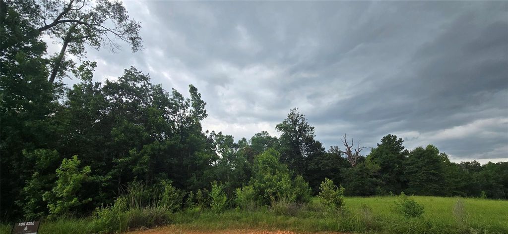 Photo of TBD S6513 Lakekand Ranch Section 9, Block 14 Tract 387, Hillister, TX 77624 (MLS # 85834659)