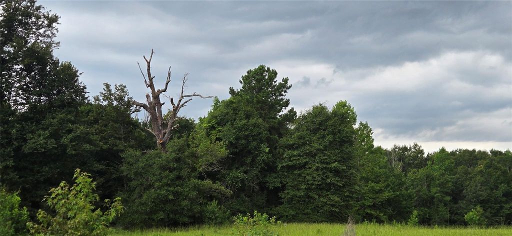 Photo of TBD S6513 Lakekand Ranch Section 9, Block 14 Tract 387, Hillister, TX 77624 (MLS # 85834659)