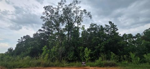 Photo of TBD S6513 Lakekand Ranch Section 9, Block 14 Tract 387, Hillister, TX 77624 (MLS # 85834659)
