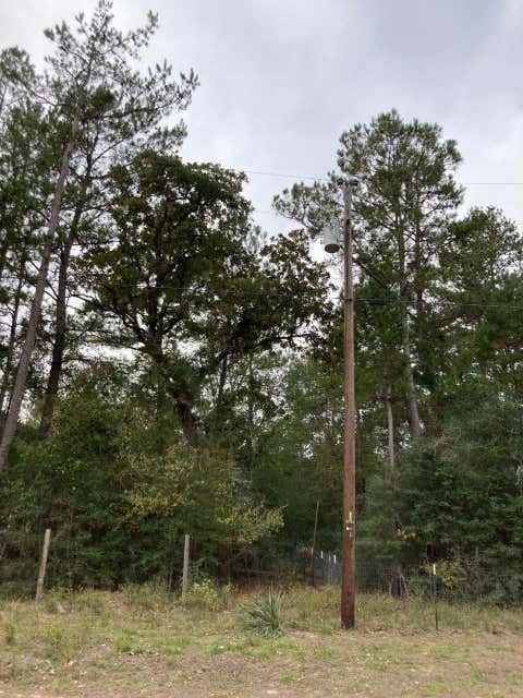 Photo of 16596 Camelia Lane, Plantersville, TX 77363 (MLS # 83483746)