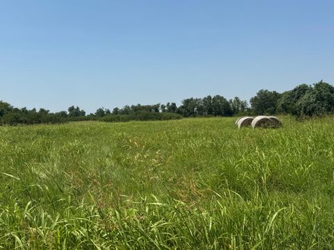 Photo of TBD County Road 230, Glen Flora, TX 77443 (MLS # 82365555)