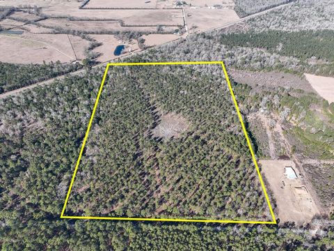 Vacant Land For Sale - 5 Louisville Road<br/> Pennington, TX 75845