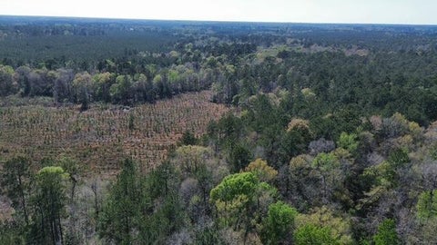 Photo of 16332 Highway 96 S, Kirbyville, TX 75956 (MLS # 95472720)