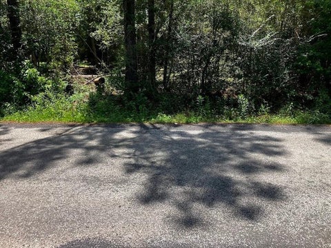 Vacant Land For Sale - LOT 335 Powdrill<br/> Buna, TX 77612