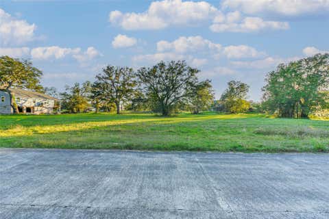 Photo of 381 Horse Shoe Trail, Angleton, TX 77515 (MLS # 37396322)