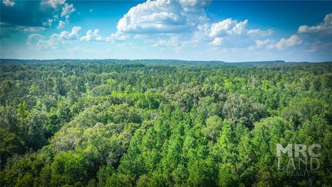 Vacant Land For Sale - 00 Linn Flat Road<br/> Nacogdoches County, Garrison, TX 75946