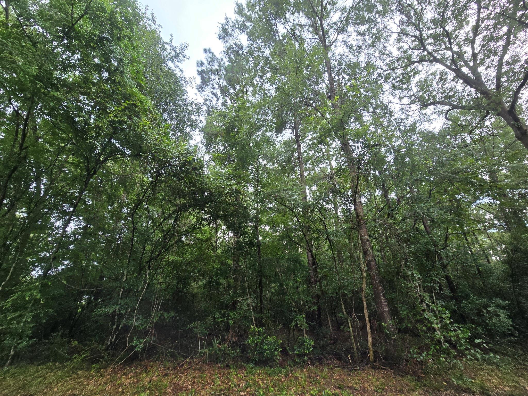 1208 County Road 377