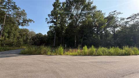 Photo of 229 Kings Court, Dayton, TX 77535 (MLS # 61199467)