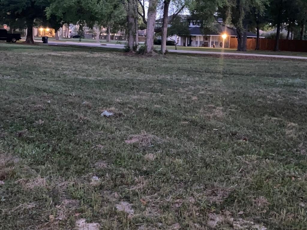 21314 Briar Oak Drive