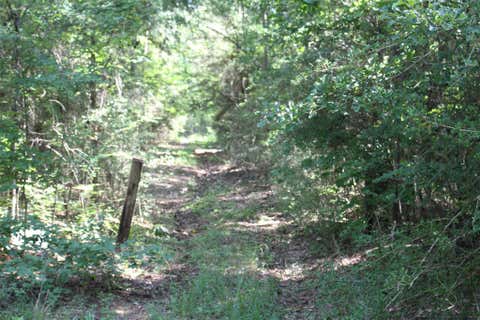 Photo of 0 County Road 2240, Grapeland, TX 75844 (MLS # 14413876)