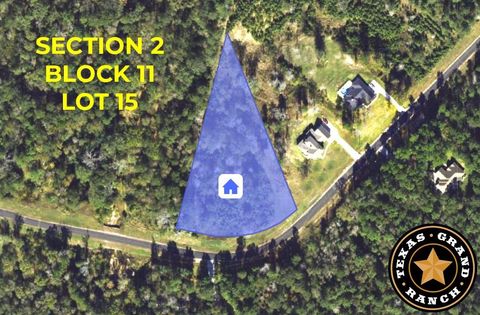 Photo of 2 Remington Road, Huntsville, TX 77340 (MLS # 61426355)