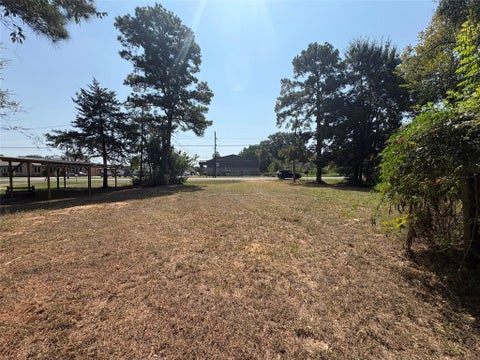 Photo of 1510 S Byrd Avenue, Shepherd, TX 77371 (MLS # 55194970)