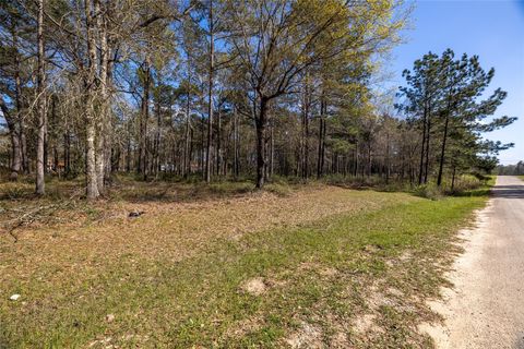 Vacant Land For Sale - TBD2 Humbird Drive<br/> San Jacinto County, Cleveland, TX 77328