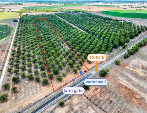 Vacant Land For Sale - TR 2 Fm 1784<br/> Pleasanton, TX 78064