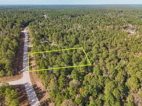 Photo of 0 Windmill Road, New Waverly, TX 77358 (MLS # 5018154)