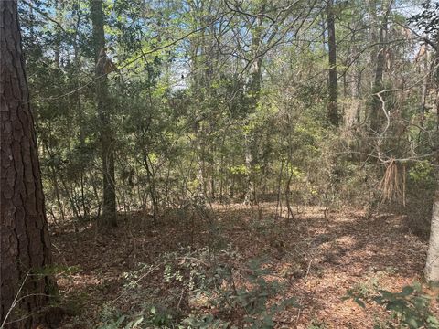 Vacant Land For Sale - TBD Big Foot Wallace Trail<br/> Polk County, Livingston, TX 77351