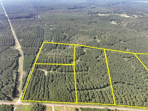 Vacant Land For Sale - 6 County Road 1420<br/> Warren, TX 77664