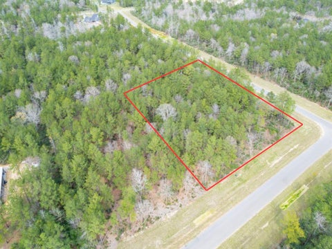 Vacant Land For Sale - 10521 Chapter Drive<br/> Willis, TX 77378