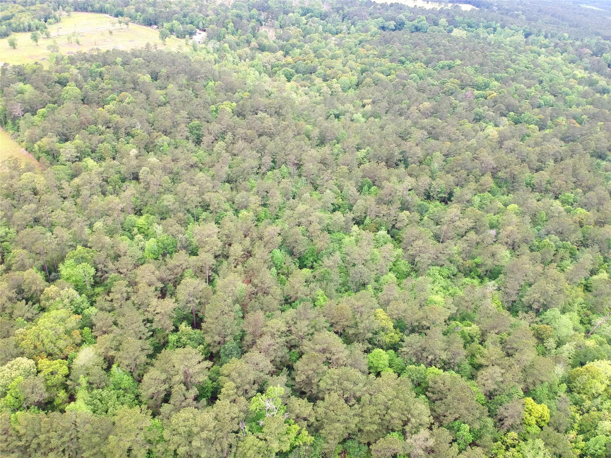 16.7 Acres Co Rd 1375