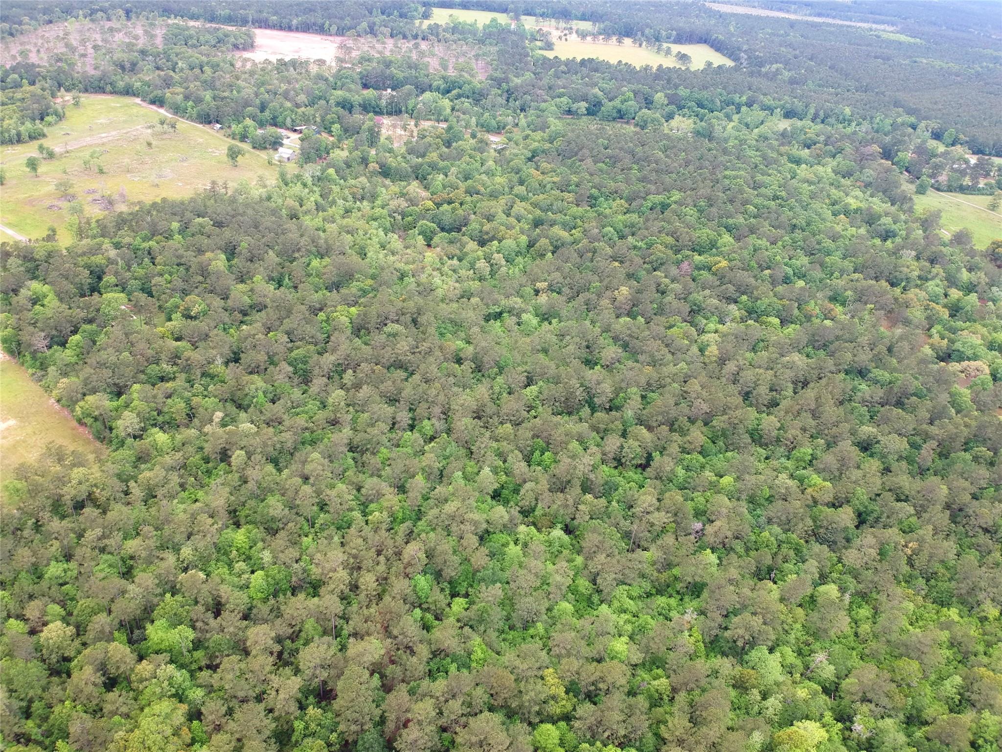 16.7 Acres Co Rd 1375