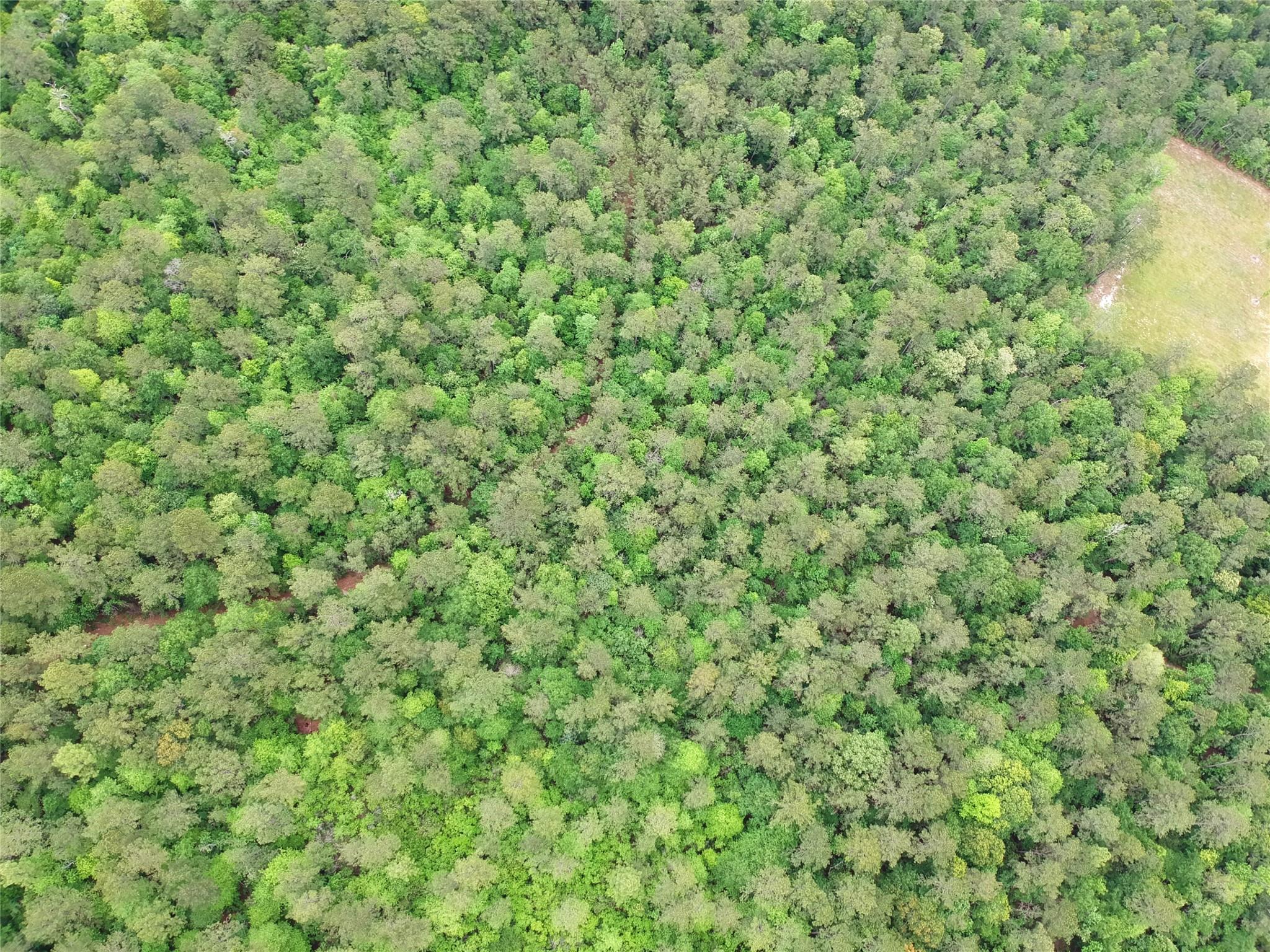 16.7 Acres Co Rd 1375