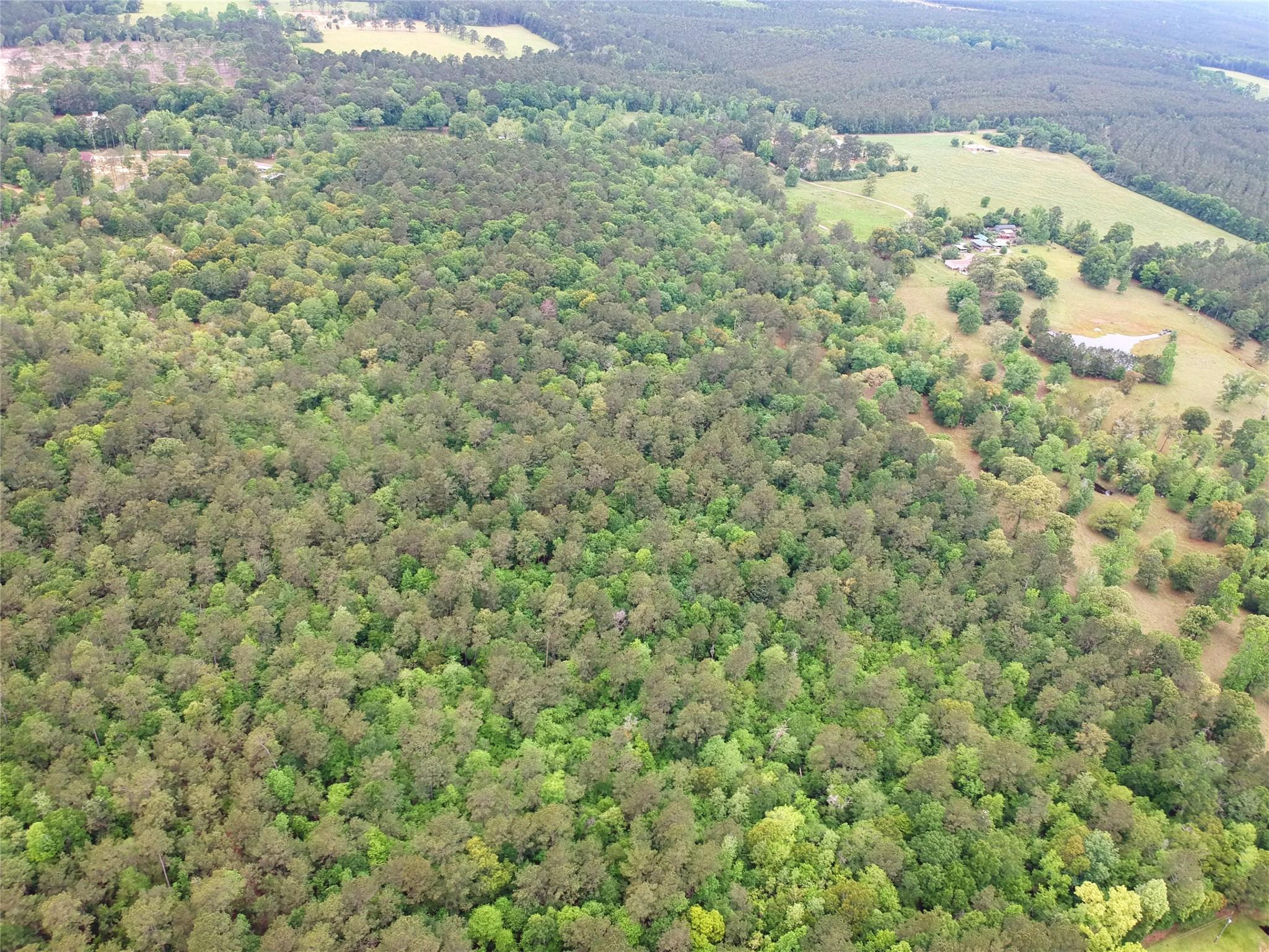 16.7 Acres Co Rd 1375