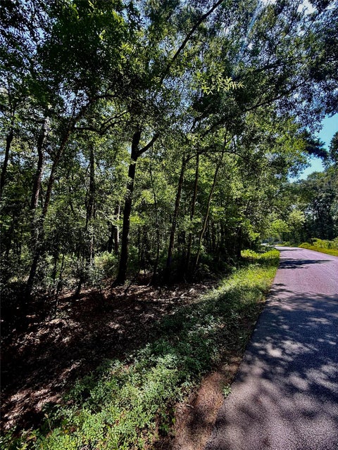 Photo of 5 Rolling Hills Drive, Porter, TX 77365 (MLS # 96083446)